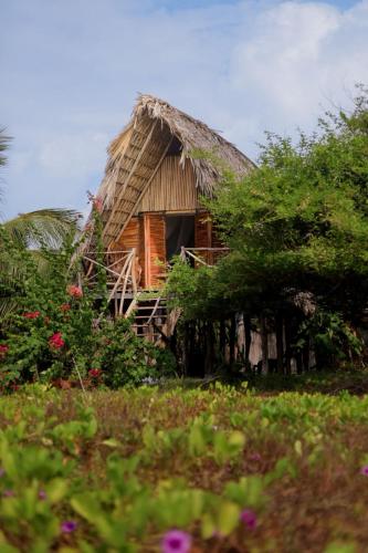 a house with a thatched roof in a field at Entremares in Boca del cielo