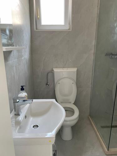 a bathroom with a toilet and a sink and a shower at Apartments Budva Sunset in Budva