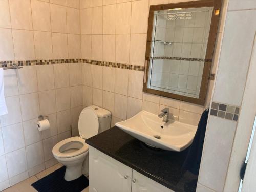 a bathroom with a sink and a toilet at 37 Laguna La Crete in Margate