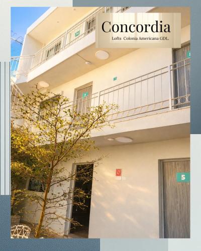 a white building with a tree in front of it at Concordia Lofts colonia americana Guadalajara in Guadalajara