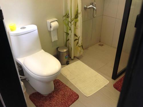 a bathroom with a toilet and a shower at Modern Room with beautiful pool in Bagac