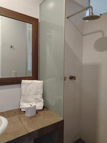 a bathroom with a sink and a shower with a mirror at Hostal Mirador in Pisco