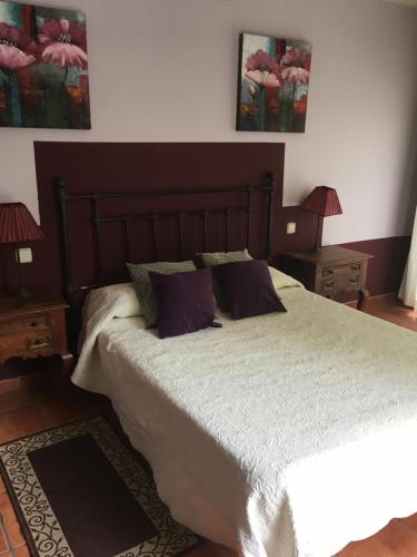 a bedroom with a large bed with two night stands at Hostal Rural La Botería in Sacedón