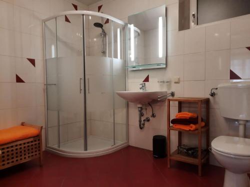 a bathroom with a shower and a sink at Urlaub am Bauernhof Gänser in Sankt Peter am Kammersberg