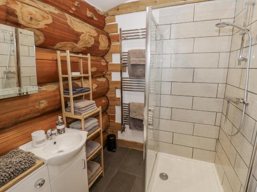a bathroom with a shower and a sink at Douglas Cabin at Salford Court Farm Fishing Cabins in Worcester