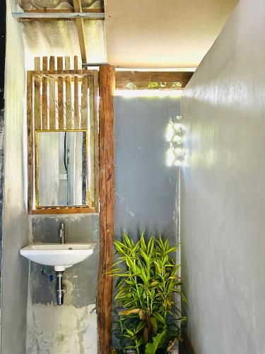 a bathroom with a sink and a mirror and a plant at Whatsup pai in Pai