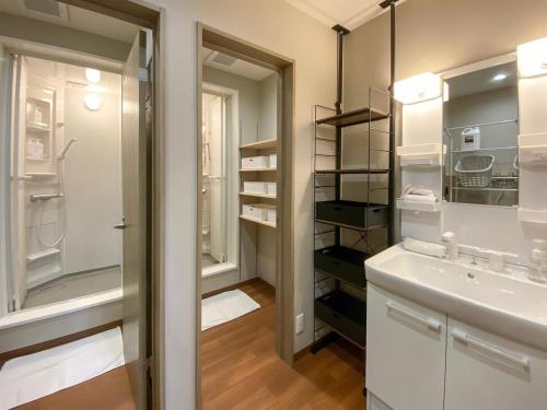 a bathroom with a sink and a mirror at KYŪKA Chalet in Myoko