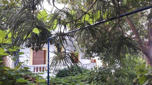 a white house with a red door and trees at Apartments Zafiria in Ágios Konstantínos