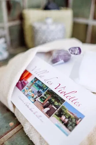 La Villa des Violettes photo 9