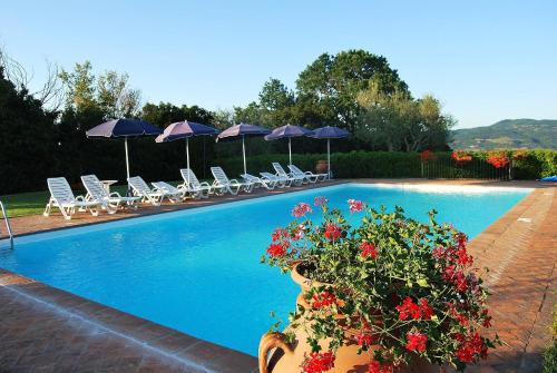 una piscina con sillas, sombrillas y flores en Agriturismo POGGIO PORSENNA - con piscina, en Proceno