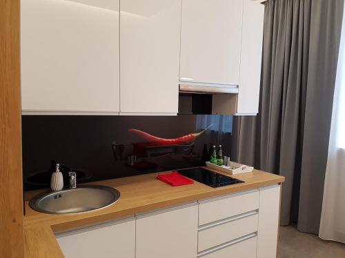 Kuchyňa alebo kuchynka v ubytovaní Apartamenty Wierzbowa 5