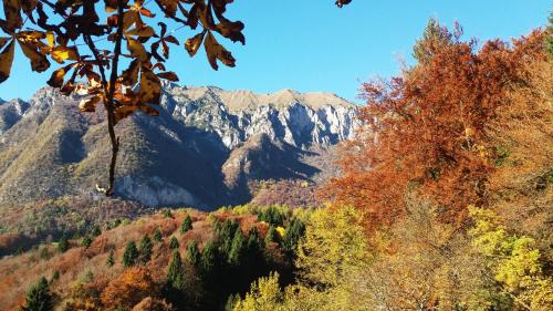 Villa Paradiso Parolari – Photos 5