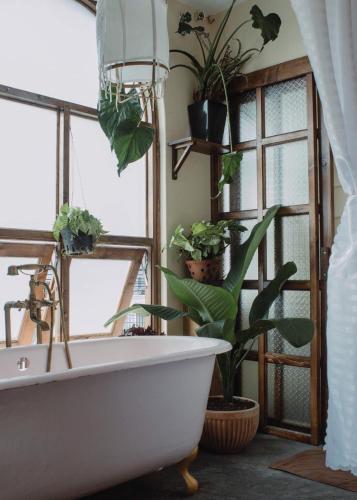 a bathroom with a bath tub with plants on the wall at Dreamershomecoffee in Xuan An