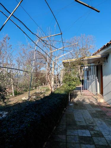 House in the village,Petrele