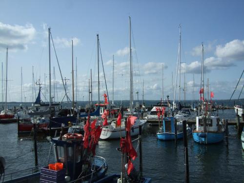 a bunch of boats docked in a harbor at Ferienwohnung Hyggebo in Langballig