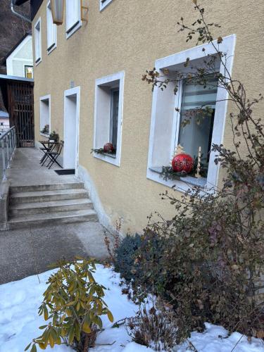 Gemütliches Appartement