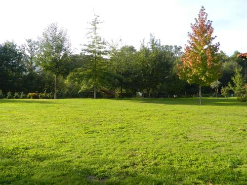 a field of green grass with trees in the background at Quinta Lamosa Agroturismo in Arcos de Valdevez