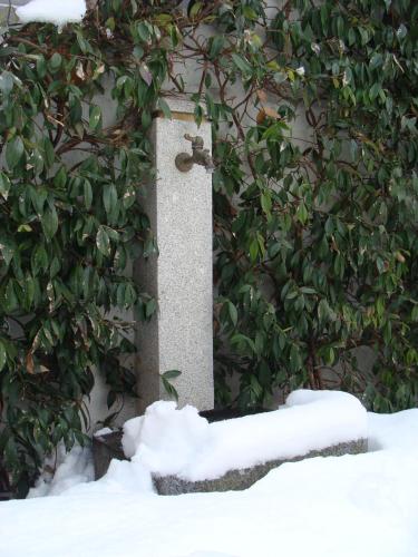 a bush with snow around a bird feeder at Hotel Elena in Saint Vincent