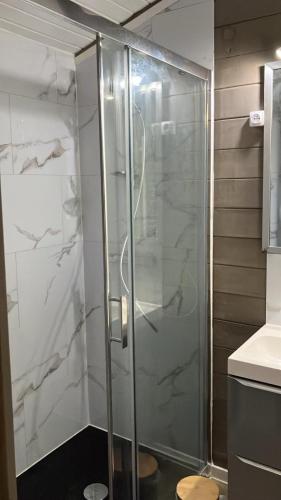 a shower with a glass door in a bathroom at Chalet T3 15 min plage grande terasse et piscine in La Teste-de-Buch