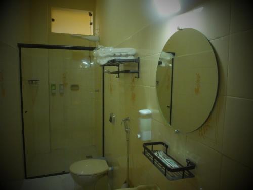 a bathroom with a shower and a toilet and a mirror at Hotel San Remo in Ubá