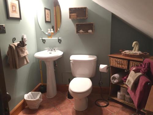 a bathroom with a toilet and a sink at Mistiso's Place Vacation Rentals in Nelson