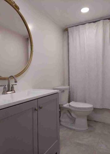 a bathroom with a sink and a toilet and a mirror at Kekuanaoa Homestead for Queens bedroom in Hilo