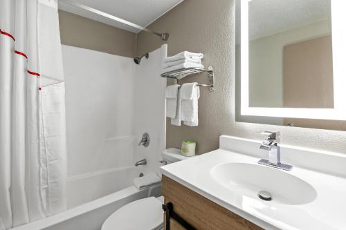 a bathroom with a sink and a toilet and a mirror at Red Roof Inn Ames in Ames