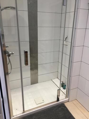a shower with a glass door in a bathroom at Villa L'Hermitière - 4 étoiles in Oytier-Saint-Oblas