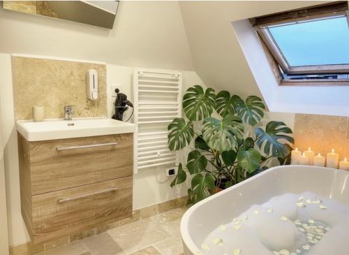 a bathroom with a tub and a sink and a plant at La casa Terracotta - centre ville , spacieux & confortable in Béthune