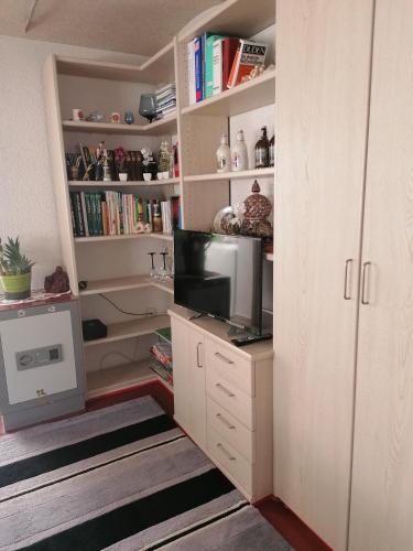 a room with a book shelf with a tv and a tvictericterictericter at Kleines Haus im Oderbruch in Neutrebbin