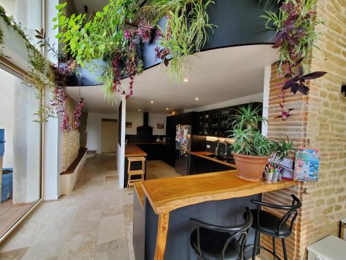 a room with potted plants hanging from the ceiling at Au Moulin du Miech in Salvagnac
