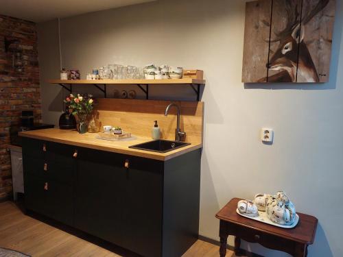 a kitchen with a sink and a counter top at Tusken Wad en Wâld in Kollumerzwaag