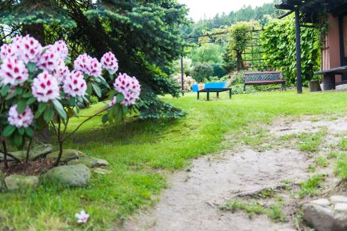 Taman di luar Agroturystyka Wzgórze Magnolii