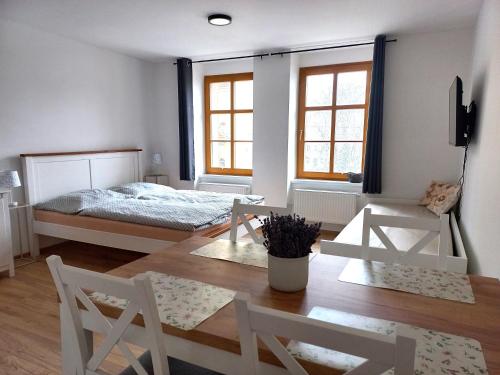 Apartmán Kopretina Krušné hory - Erzgebirge