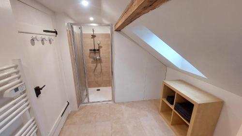 a bathroom with a walk in shower and a walk in shower at Large Private Room Near Colmar Center with Free Public Parking in Colmar