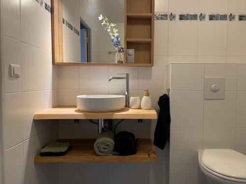 a bathroom with a sink and a toilet at Veï Lou Quéri in Moutier-Malcard