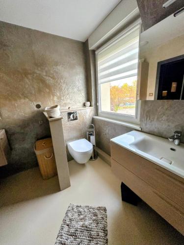 a bathroom with a toilet and a sink and a window at Écrin Ostwald 2 private suites Free parking in Ostwald
