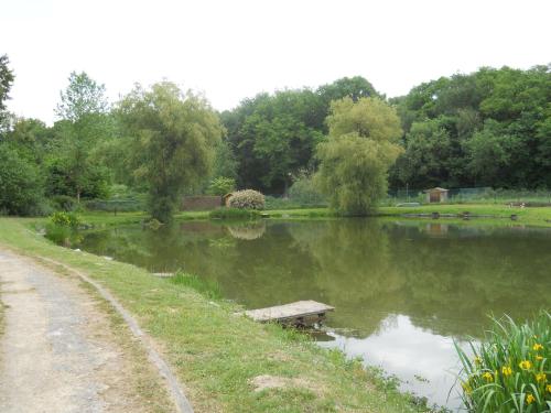 a pond with a bench in the middle of a park at Le Relais De La Haute Sambre in Lobbes