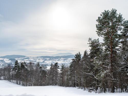 a group of trees in the snow on a mountain at Łysogórska Polana Domki in Mordarka
