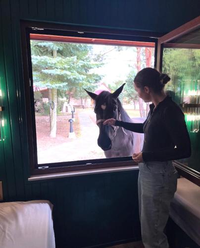 a woman is petting a horse through a window at Gajówka Pilica 45A in Łęg Ręczyński