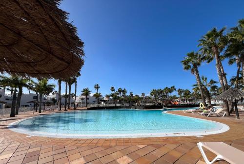 All Seasons Oasis
