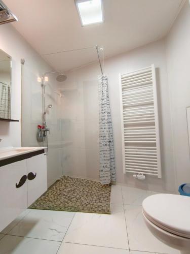 łazienka z prysznicem i toaletą w obiekcie Sanhe w mieście Rollingen