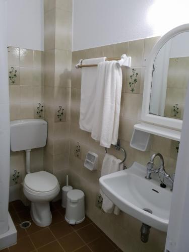 a bathroom with a toilet and a sink and a mirror at Beachfront villa Ioanna in Kokkari