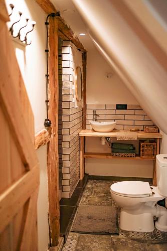 a bathroom with a toilet and a sink at Feel-Harmonia w Nowym Kawkowie in Nowe Kawkowo