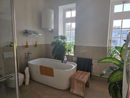 a bathroom with a large white tub and a plant at Rooms in Maribor Centre in Maribor