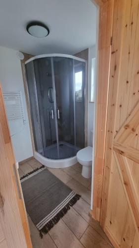 a glass shower in a bathroom with a toilet at Dziupla u Szpaka in Kątno