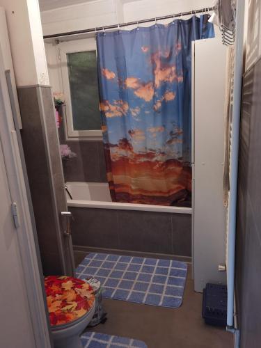 ein Badezimmer mit Duschvorhang und Toilette in der Unterkunft Maison du bonheur colocation in Dunkerque