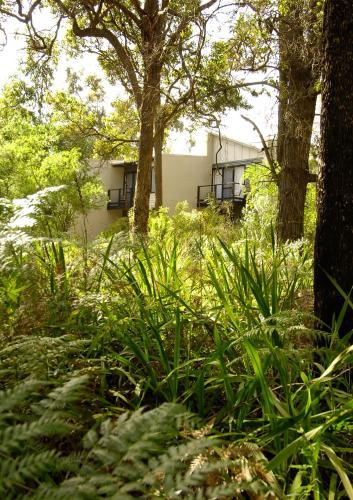 a house in the middle of a field with trees at Margarets Forest in Margaret River Town