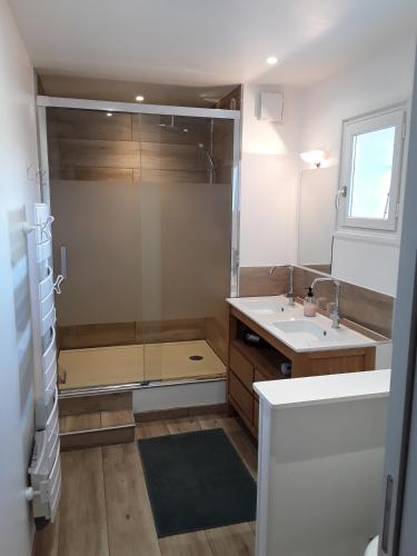 a bathroom with a shower and a sink at La Maison Bleue in Rosières