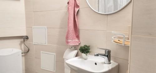 a bathroom with a sink and a mirror and a toilet at Apartman Mare in Brodarica